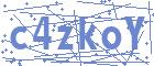 securityCode