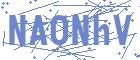 securityCode