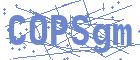 securityCode