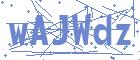 securityCode