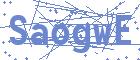 securityCode