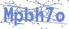securityCode