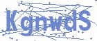 securityCode