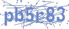 securityCode