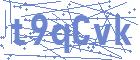 securityCode