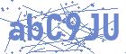 securityCode