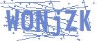 securityCode