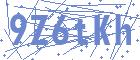 securityCode