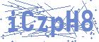 securityCode
