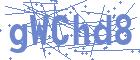 securityCode