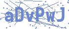securityCode