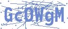 securityCode