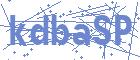 securityCode