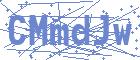securityCode