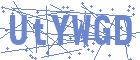 securityCode