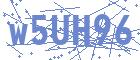 securityCode
