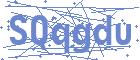 securityCode