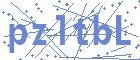 securityCode