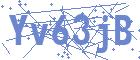securityCode