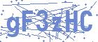 securityCode