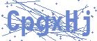 securityCode