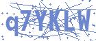 securityCode