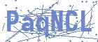 securityCode