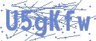securityCode