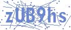 securityCode
