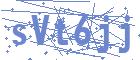 securityCode