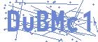 securityCode