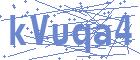 securityCode