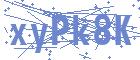 securityCode