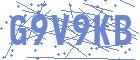 securityCode