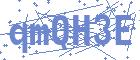 securityCode