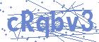 securityCode