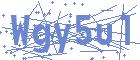securityCode