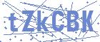 securityCode