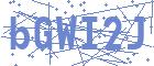 securityCode