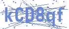 securityCode