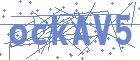 securityCode