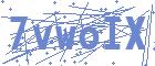 securityCode