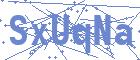 securityCode