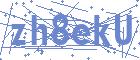 securityCode