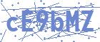 securityCode