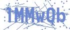 securityCode