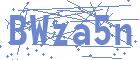 securityCode