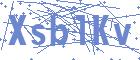 securityCode