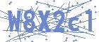 securityCode