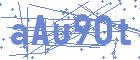 securityCode